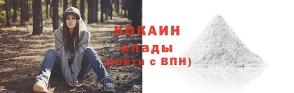 гидра Абаза
