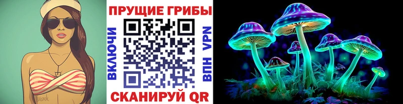 Галлюциногенные грибы Psilocybine cubensis Егорьевск