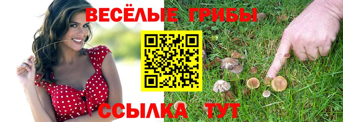 Галлюциногенные грибы Psilocybe Егорьевск