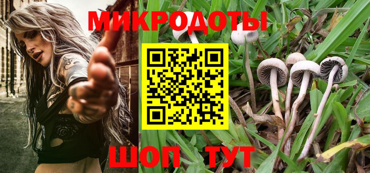 Галлюциногенные грибы ЛСД  Псилоцибиновые грибы Magic Shrooms  Егорьевск  даркнет сайт  Вход с VPN 